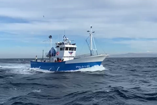 Barco pesquero El Gallego navegando en la mar.